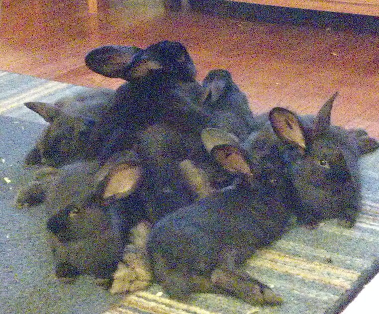 Trudy with her girls