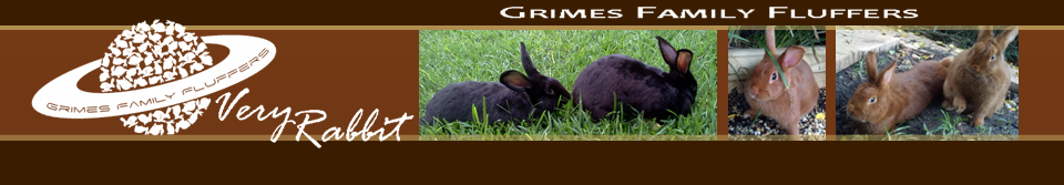 Very Rabbit © 2013 Grimes Family Fluffers